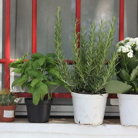 Prázdninový dům Trullo Riccardo *