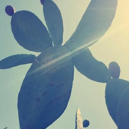 Trullo Riccardo Prázdninový dům