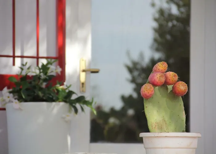 Hébergement de vacances Trullo Riccardo Ostuni