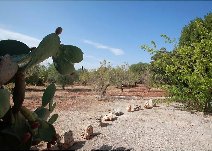Trullo Riccardo Hébergement de vacances