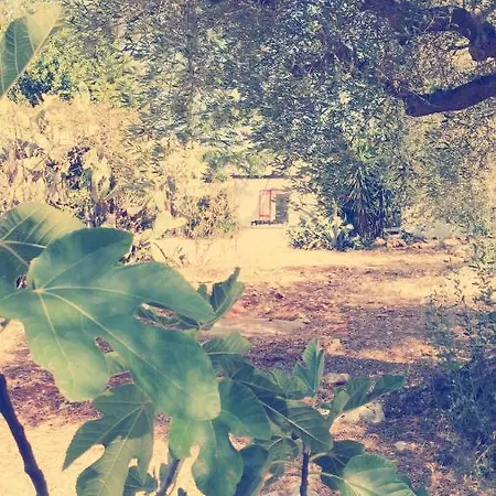 Trullo Riccardo Ferienhaus