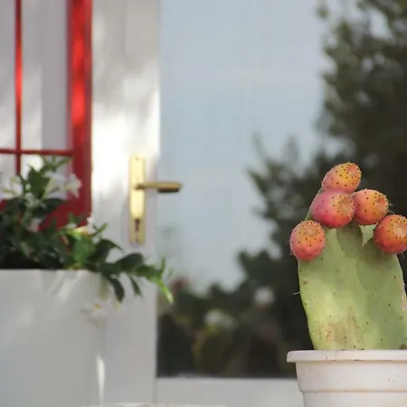 Dom wakacyjny Trullo Riccardo Ostuni